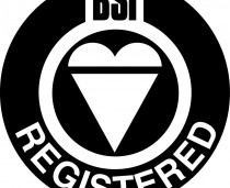 bsi_logo